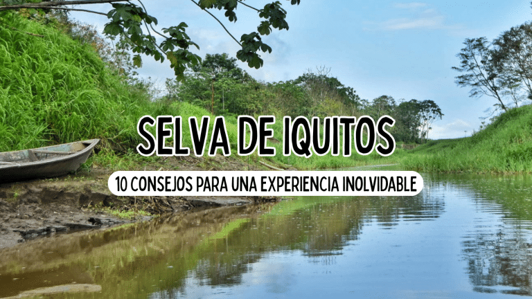 selva de iquitos 10 consejos para una experiencia inolvidable