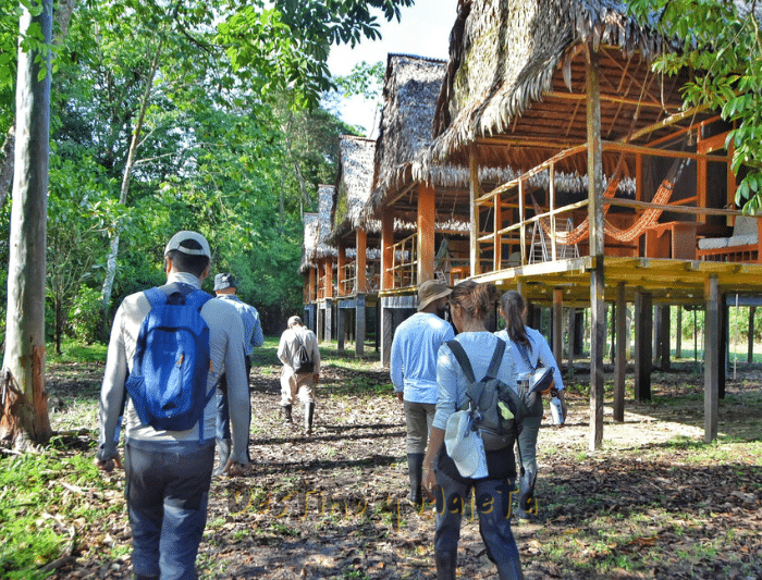 caminata en la selva, llevamos ropa adecuada