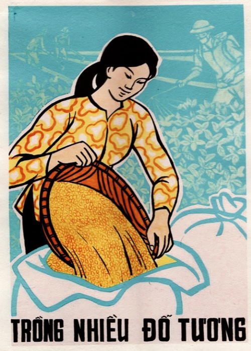 Cartel de propaganda vietnamita de apoyo a la agricultura: "Cultivar mucha soja"