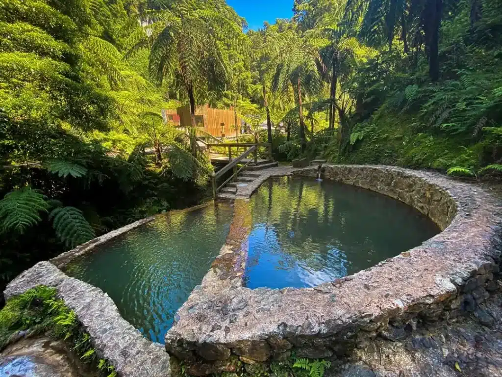 Poza de agua termal rodeada de palmeras y vegetación tropical en Caldeira Velha, con ambiente húmedo y vapor natural.