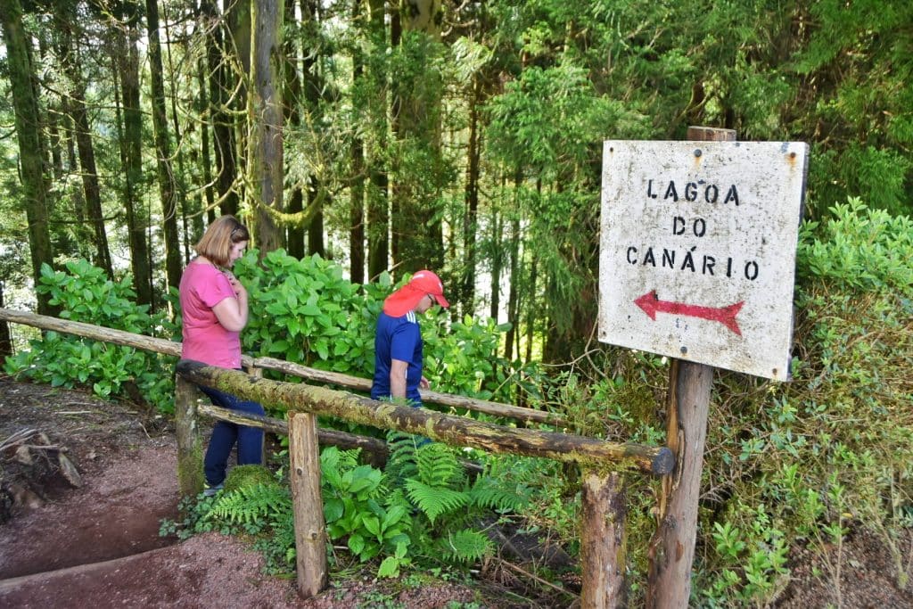 Dos amigos descendiendo por el sendero que conduce a la Lagoa do Canário, en medio del bosque del Parque de Mata do Canário en São Miguel