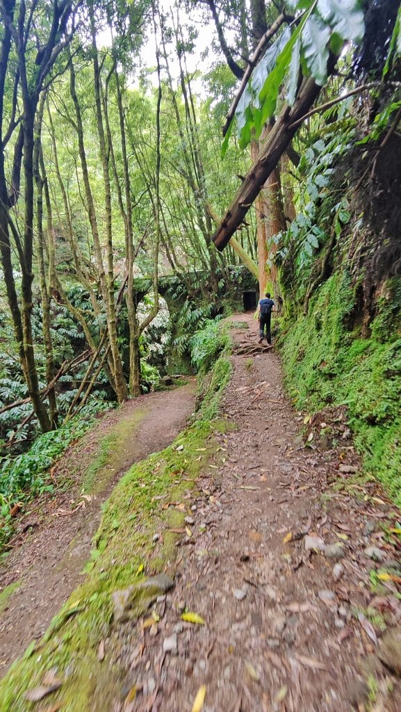 Sendero PRC37 SMI Rota da Água, con Domi caminando por un camino húmedo y verde, y la Janela do Inferno visible al fondo entre la vegetación.