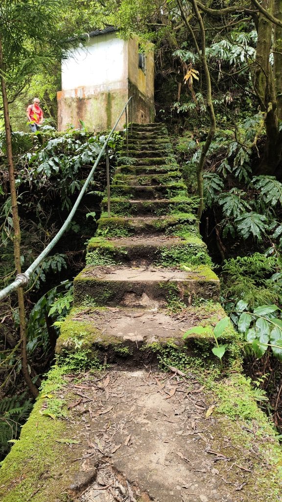 Escalera estrecha completamente cubierta de musgo y humedad, rodeada de vegetación, en la ruta PRC37 SMI Rota da Água – Janela do Inferno.