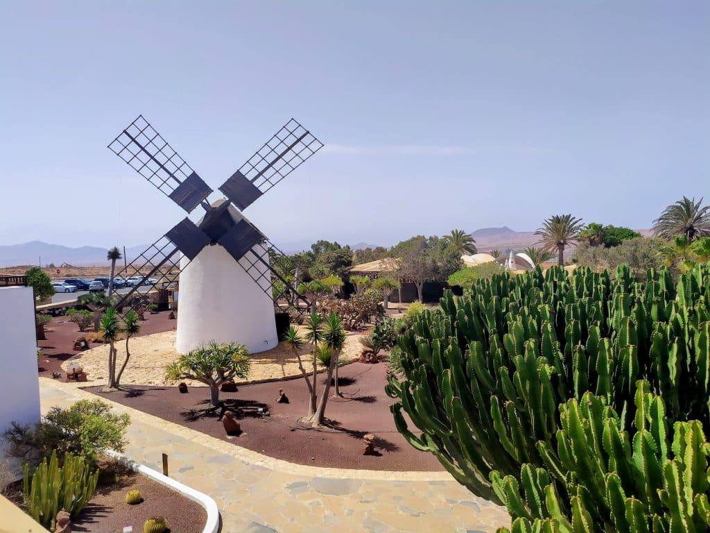 museo-del-queso-majorero