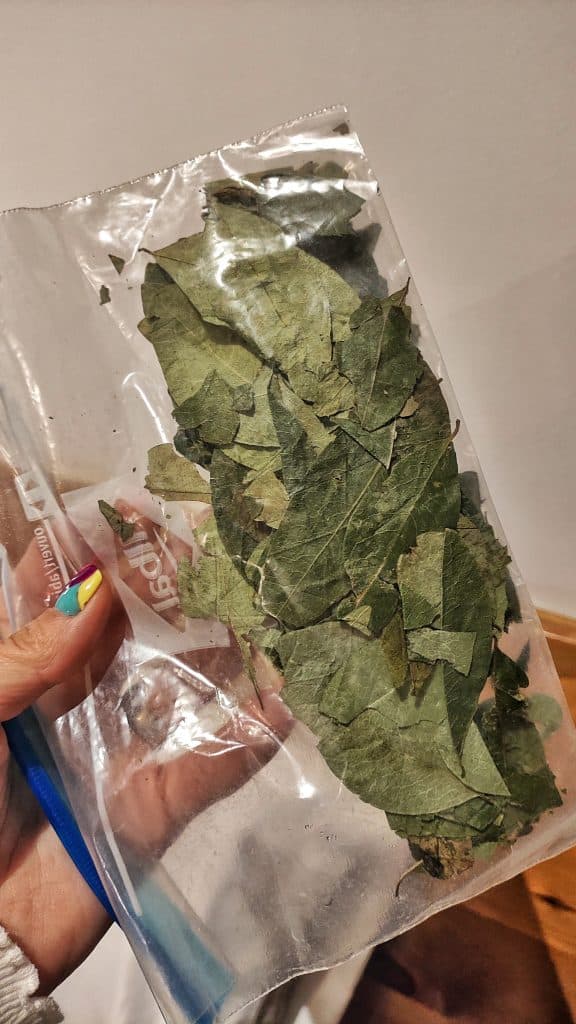 Hay consejos que parecen una tontería hasta que llegas allí. Llevar un buen cacao para los labios, crema para el interior de la nariz y tomar hojas de coca en infusión fue, para nosotros, casi tan importante como unas buenas botas de montaña.